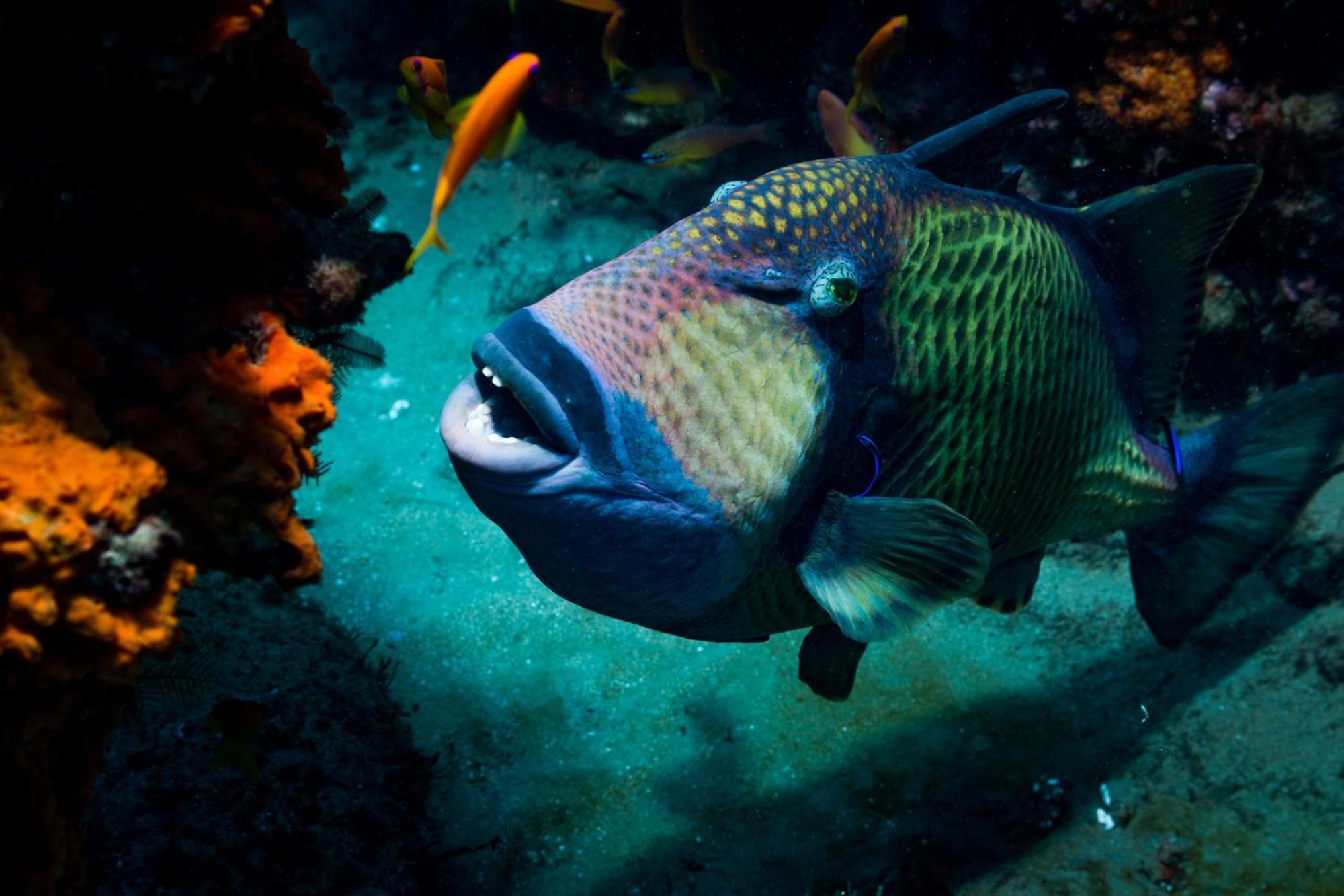 Sodwana Bay Lodge Dive & Fishing Resort ภายนอก รูปภาพ