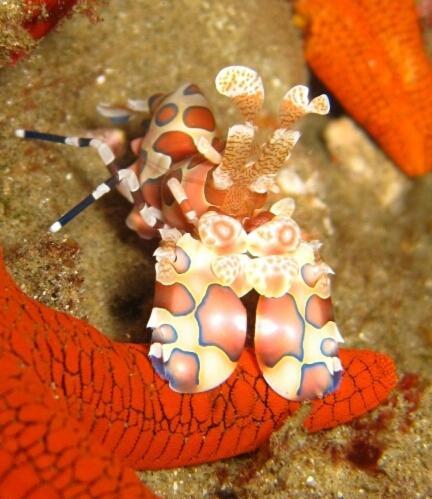 Sodwana Bay Lodge Dive & Fishing Resort ภายนอก รูปภาพ