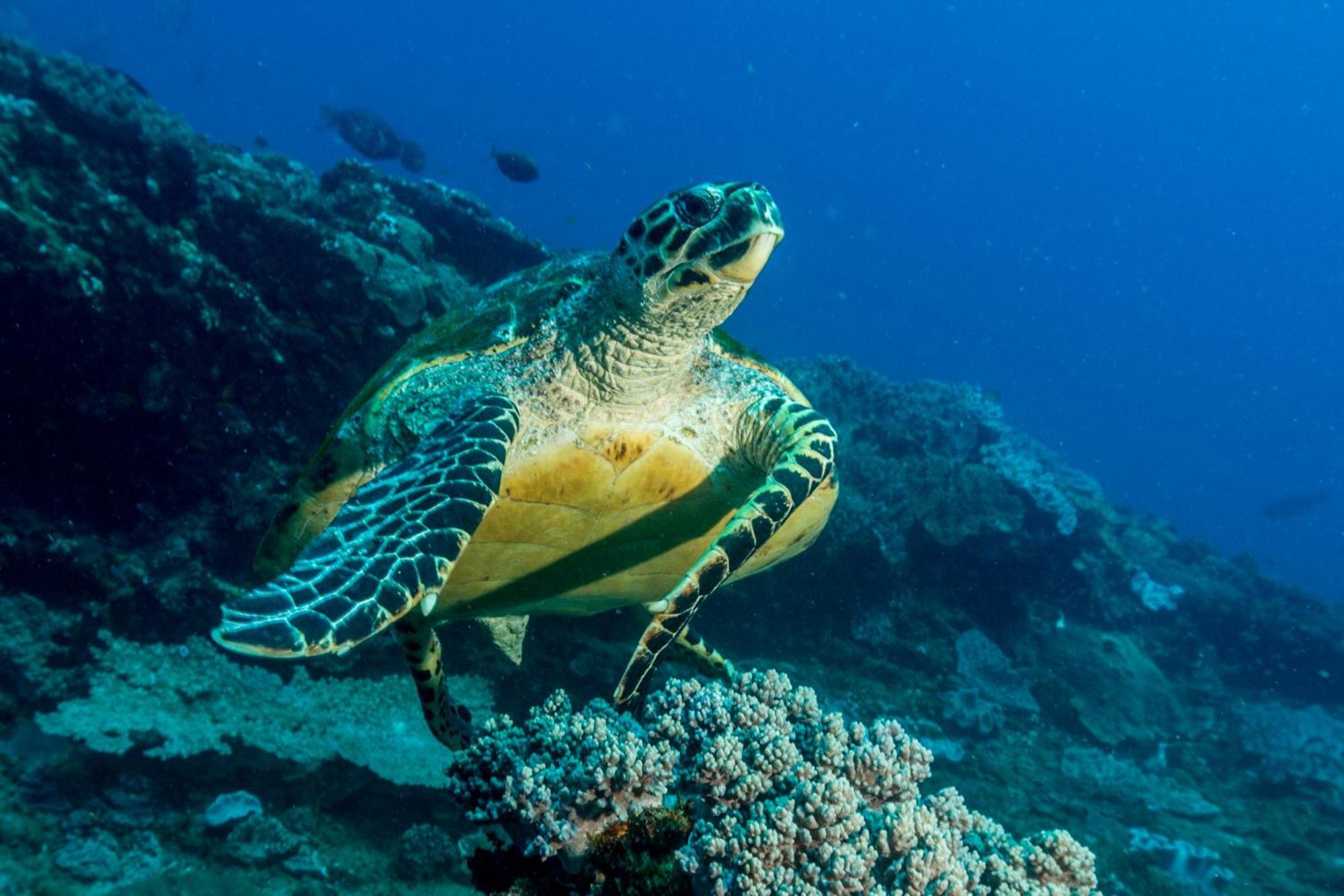 Sodwana Bay Lodge Dive & Fishing Resort ภายนอก รูปภาพ