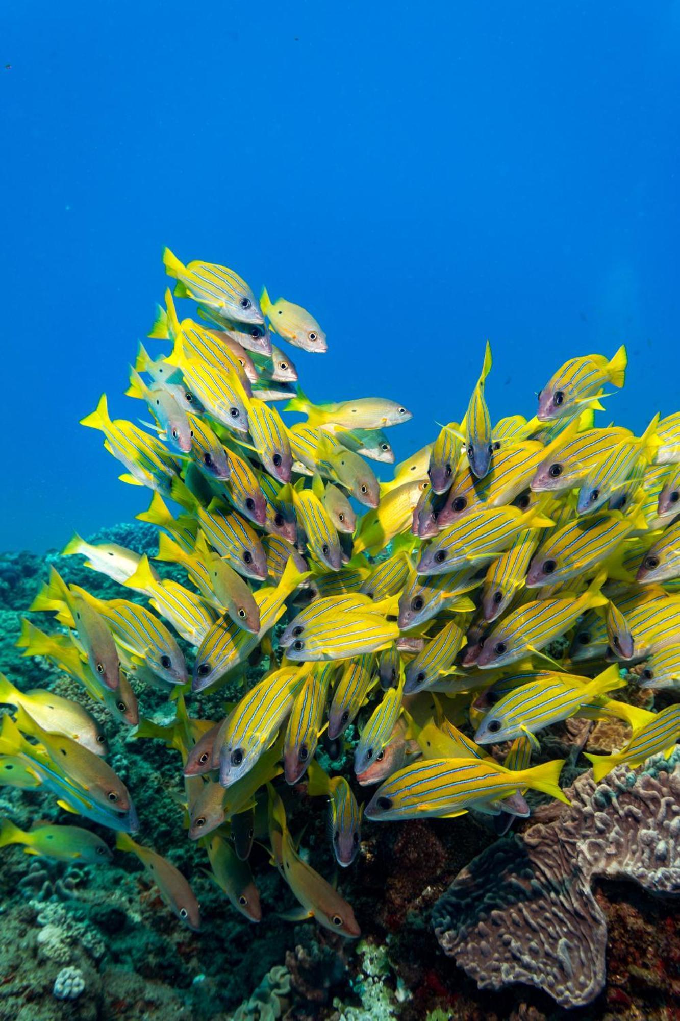 Sodwana Bay Lodge Dive & Fishing Resort ภายนอก รูปภาพ