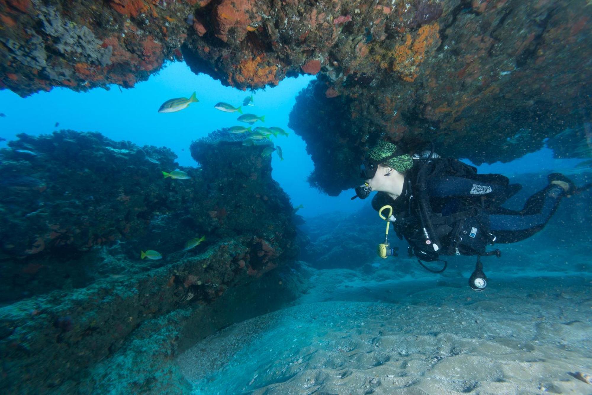 Sodwana Bay Lodge Dive & Fishing Resort ภายนอก รูปภาพ