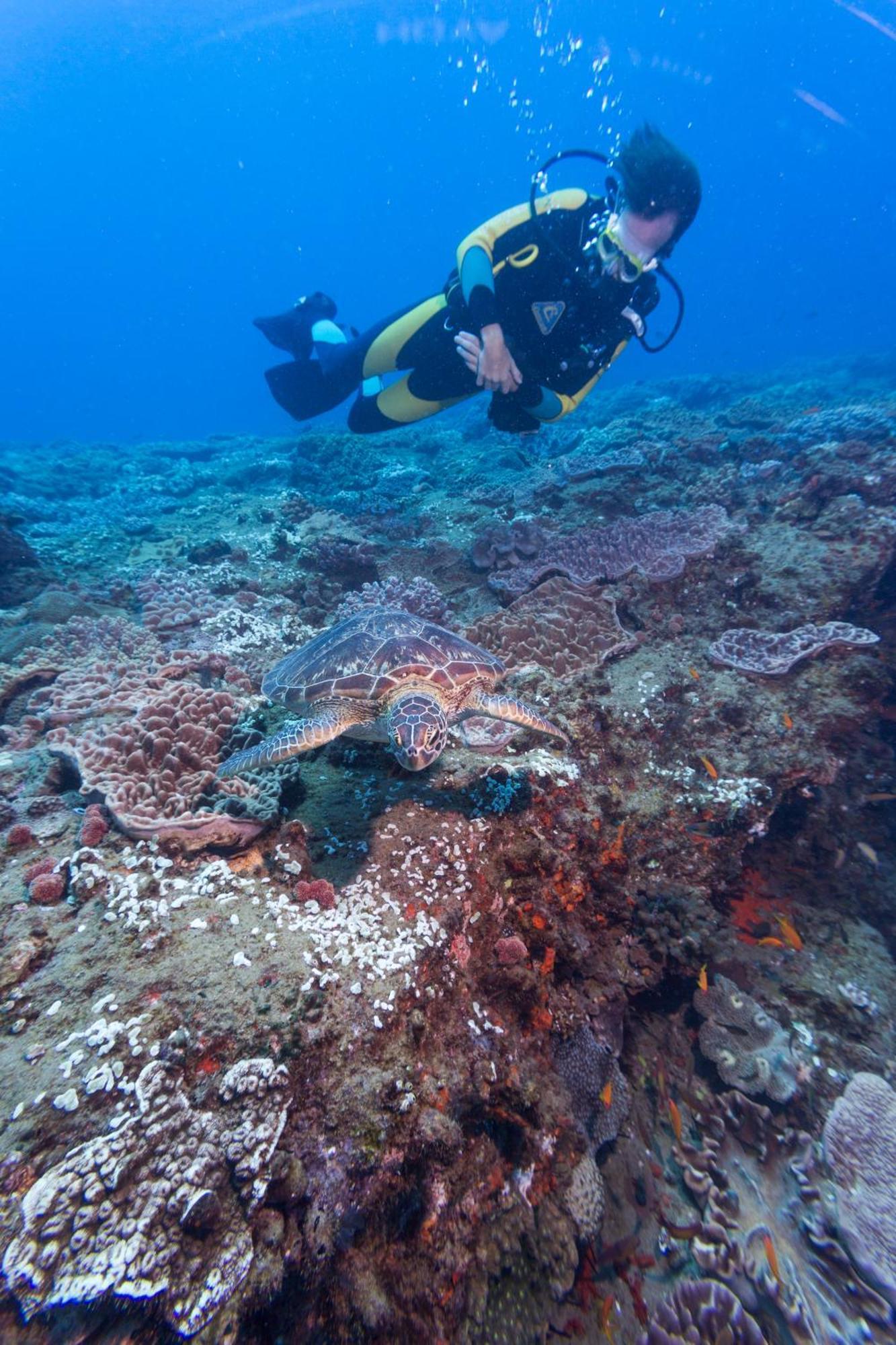 Sodwana Bay Lodge Dive & Fishing Resort ภายนอก รูปภาพ